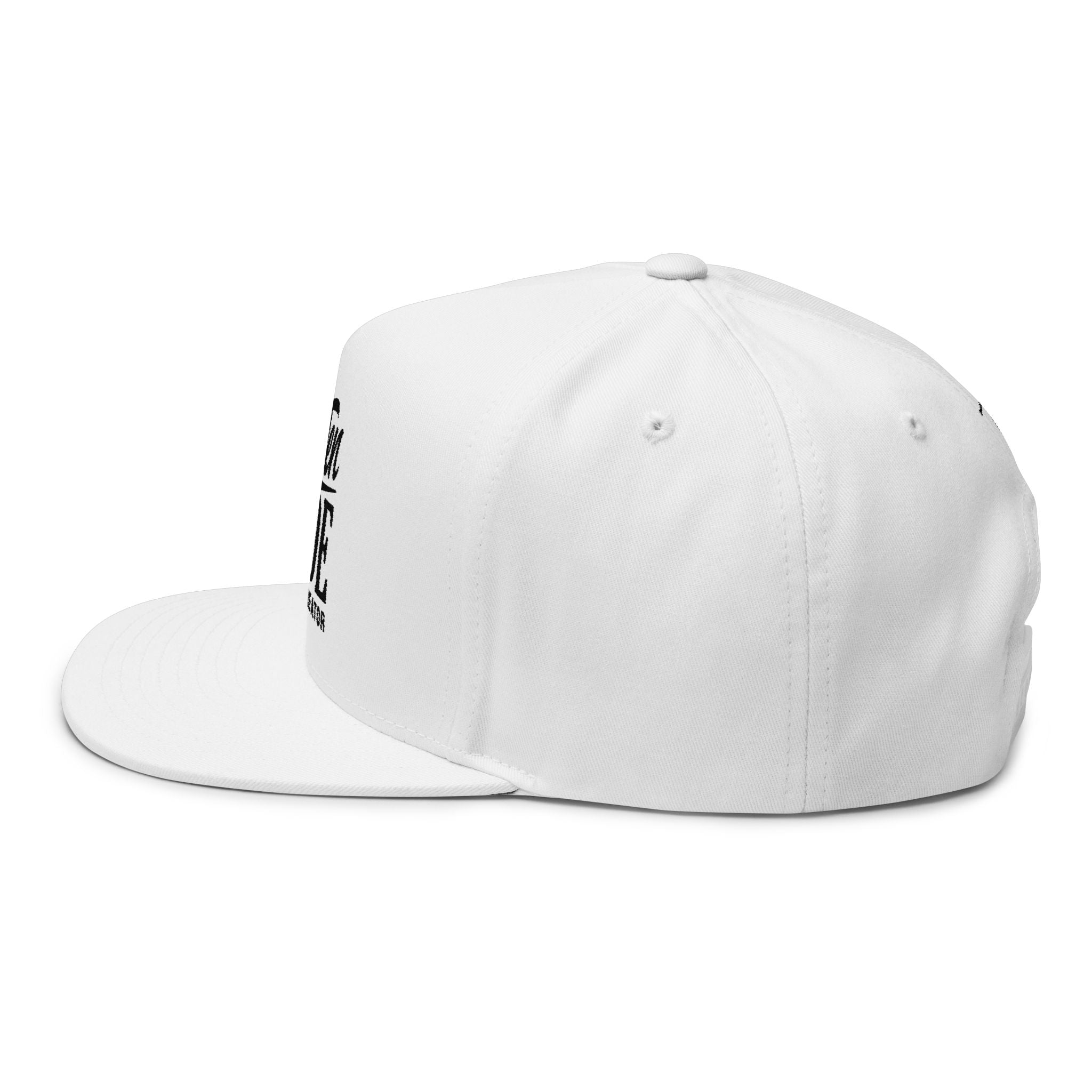 Heavenly Citizen: Embroidered Flat Unisex Cap - Christian hat Snapback